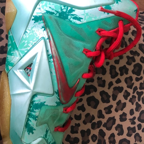 Lebron 11 size 10.5 used main image 5